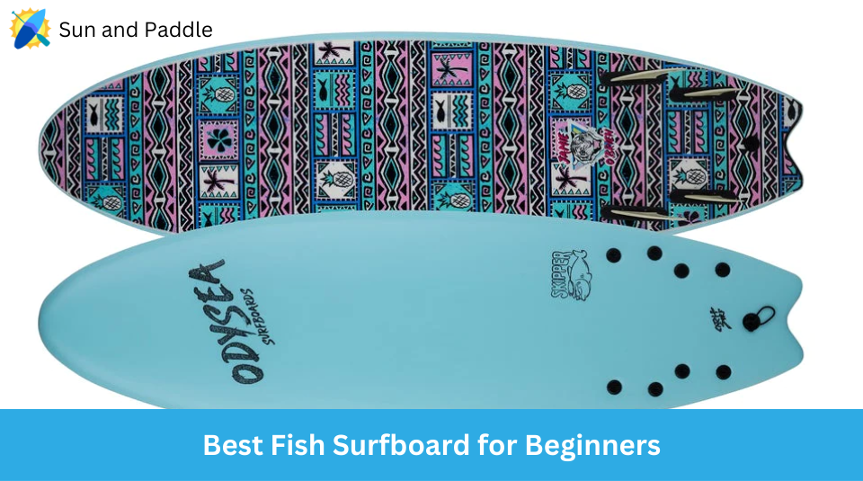 Best Beginners Fish Surfboard